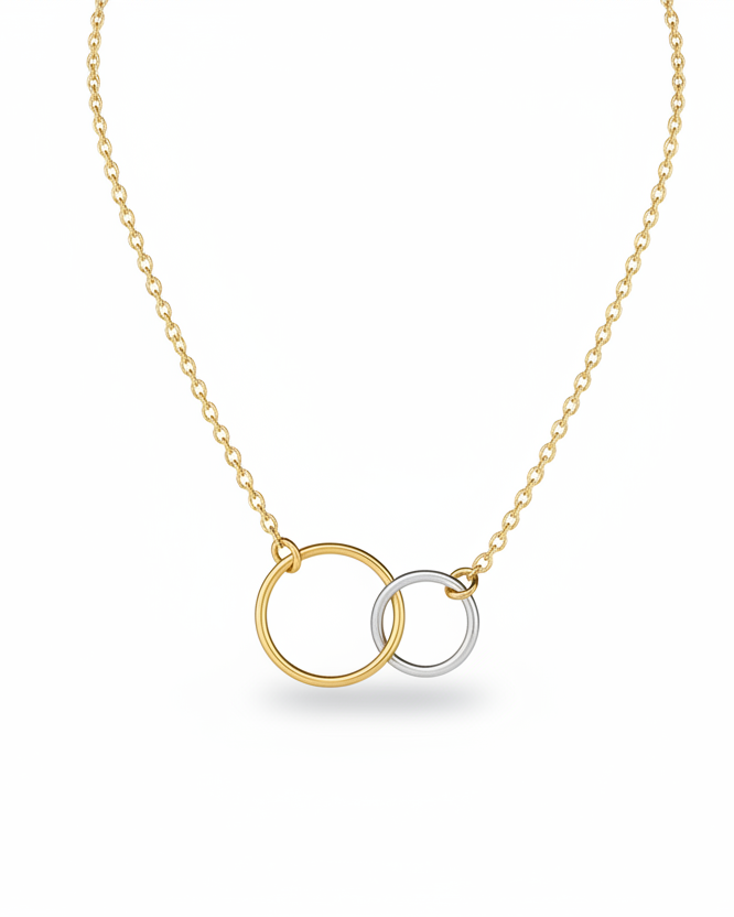 TWO TONE CIRCLE SHORT NECKLACE